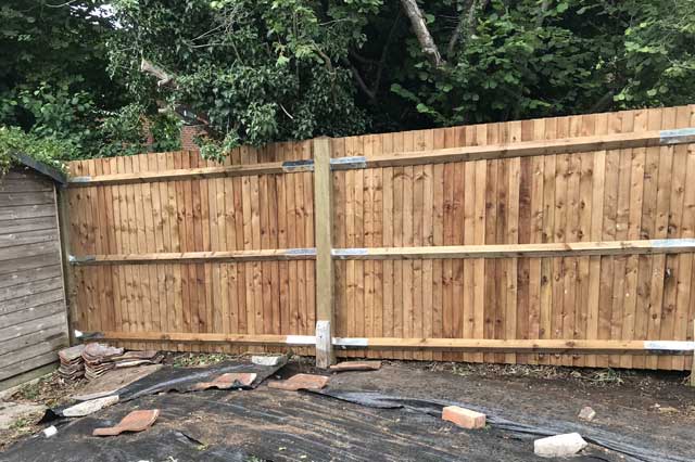 Garden and Fencing